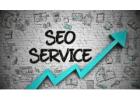 Skilled Goldman Dubai SEO Company