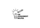 Essay Writing & Dissertation Help Experts