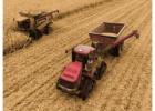 Kirkham Insurance Protects Farms with Complete Coverage