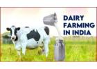 Get Funding for Your Dairy Business in India Today