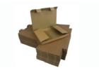 Ship Smart with Packaging Now's Secure Envelope Boxes