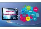 Best Website Development Company in India for Digital Excellence