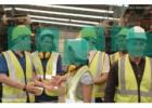 Visionfacts AI Crowd Detection Software for Workplace & Public Safety