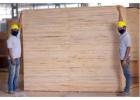 Plywood Companies in India – Trusted Quality for Every Project