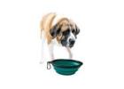 HugeHounds Large Water Bowl for Dogs – Designed for Big Breeds