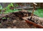 BlackWoodLFS Provides the Best Landscape Supplies near Me
