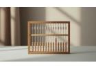 Looking For Abacus Classes Online in India