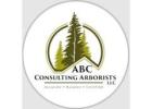 Northwest Tree Specialists