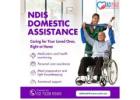 NDIS Domestic Assistance