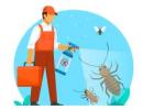 Best Pest Control Services in Delhi – Safe, Reliable & Affordable