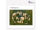Find customized itinerary and expert local guides to book your Tours to Stonehenge