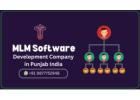 Streamline Your Network with Binary MLM Software in Punjab!