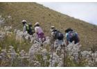 Blue Mountain Hike – Multi-Day Trail Through Elgin’s Natural Beauty