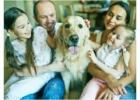 Calgary’s Trusted Experts in Mice and Pest Removal by Avayda