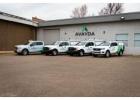 Protecting Vancouver Homes with Expert Pest Solutions