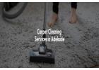 Get a 14-day satisfaction guarantee with all-inclusive Carpet Cleaning Services Adelaide