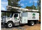 Hazardous Tree Removal