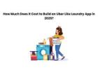 How Much Does It Cost to Build an Uber Like Laundry App in 2025?