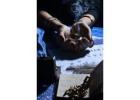 Black Magic Removal In Philadelphia