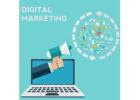 Dominate Your Industry with a Top Digital Marketing Agency in India