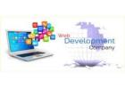 Enhance Your Brand Identity with Best Website Design Company in Delhi NCR