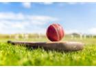 Get Your Best Cricket ID with Amiribook – Play Smarter, Win Bigger!