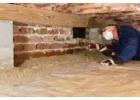 Wood Destroying Organisms Inspection