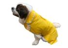 HugeHounds: Stylish Dog Clothes for Large Dogs – Comfort Meets Quality