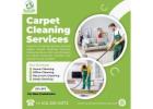 Affordable Carpet Cleaning Services Pittsburgh