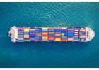 Professional Import and Export Website Dubai