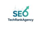 TechRank Agency – Trusted SEO Company in India