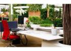 Green Corners & City Views: Melbourne’s Indoor Plant Aesthetic
