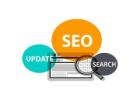 TechRank Agency – Premier SEO Agency in Shakurpur NCR