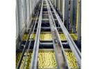 Skilled Project Management Consultants for Complex Industrial Projects