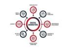Avail The Professional Digital Marketing Services