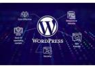 Build Powerful Websites with Best WordPress Development Company in India