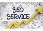 Boost Your Business with Expert SEO Services in the USA – DigitalBerge