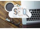 Drive Growth with Content Professional SEO Services