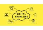 Invoidea is Leading Best Digital Marketing Company in Delhi for Business Growth