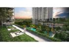 Residential Properties In West Delhi | TARC
