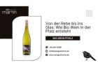 Von der Rebe bis ins Glas: Wie Bio Wein in der Pfalz entsteht