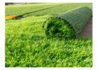 Top Artificial Grass Cost Perth Offers Available Now