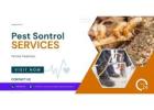 Expert Pest Control Termite Treatment – Protect Your Home Today!