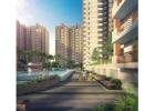 Residential project in Noida Extension | Nirala World