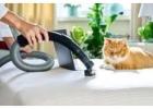 D&G Carpet Cleaning: Trusted Choice for Best Company for Carpet Cleaning