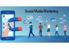 Social Media Marketing Agency in Delhi NCR | Anadee Digital Solutions