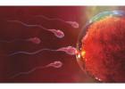 Selecting the Best Fertility Clinic in Dubai