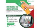 Professional Pest Control Ottawa