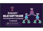 Best MLM Software Development Company in Mohali