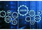 Java Application Development Company Driving Next-Gen Enterprise Solutions